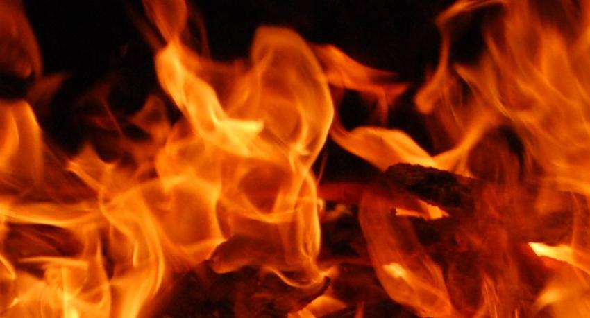 Blaze in Kerawalapitiya: Firefighters Combat Factory Inferno